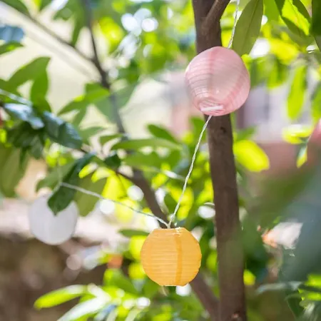 Altstadtwohnung Lage Zentrum Mit Terrasse