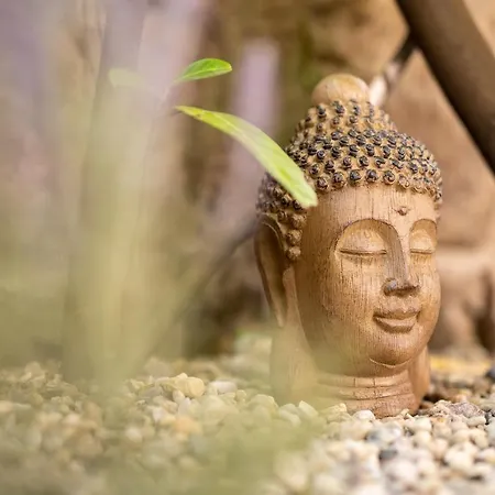 Altstadtwohnung Lage Zentrum Mit Terrasse Daire