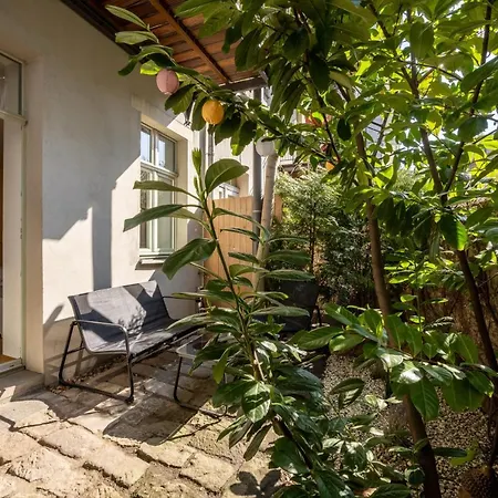 Apartment Altstadtwohnung Lage Zentrum Mit Terrasse Dresden