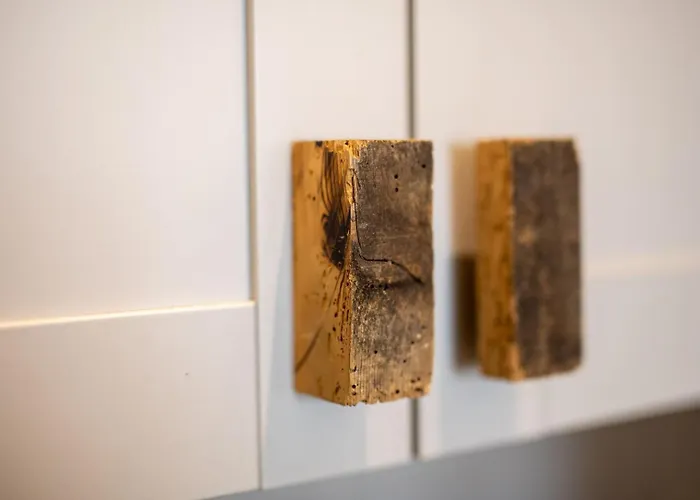 Old Town Apartment City Center / Terrace Apartamento Dresden